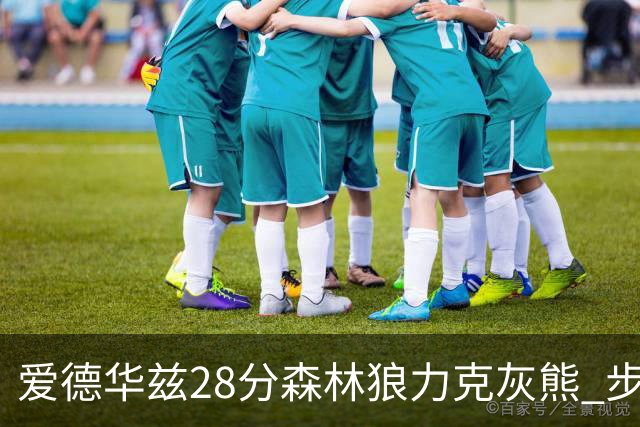 爱德华兹28分森林狼力克灰熊 步行者险胜国王