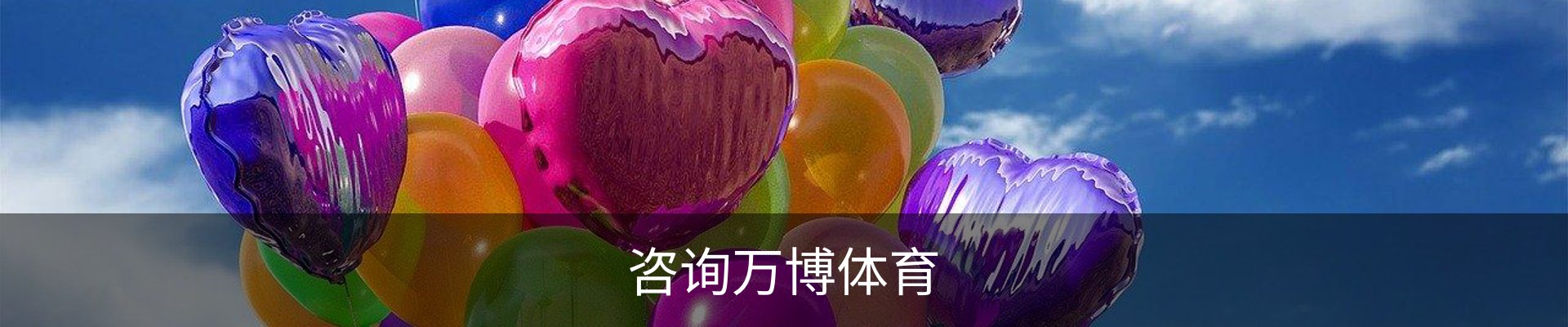 咨询万博体育